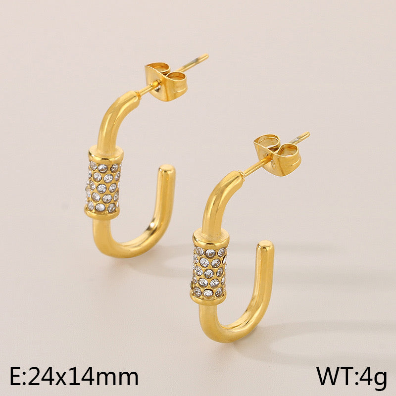 Michael Earring