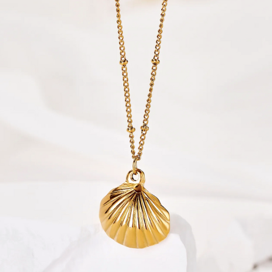 Sea Shell Necklace